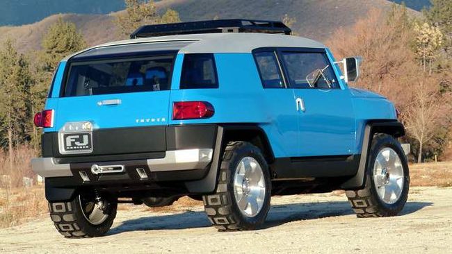 2016 Toyota FJ Cruiser Rear Right Side